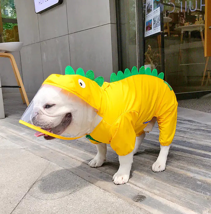dog wearing dinosaur puppy raincoat in yellow cartoon style, L-4XL size, outdoor scene