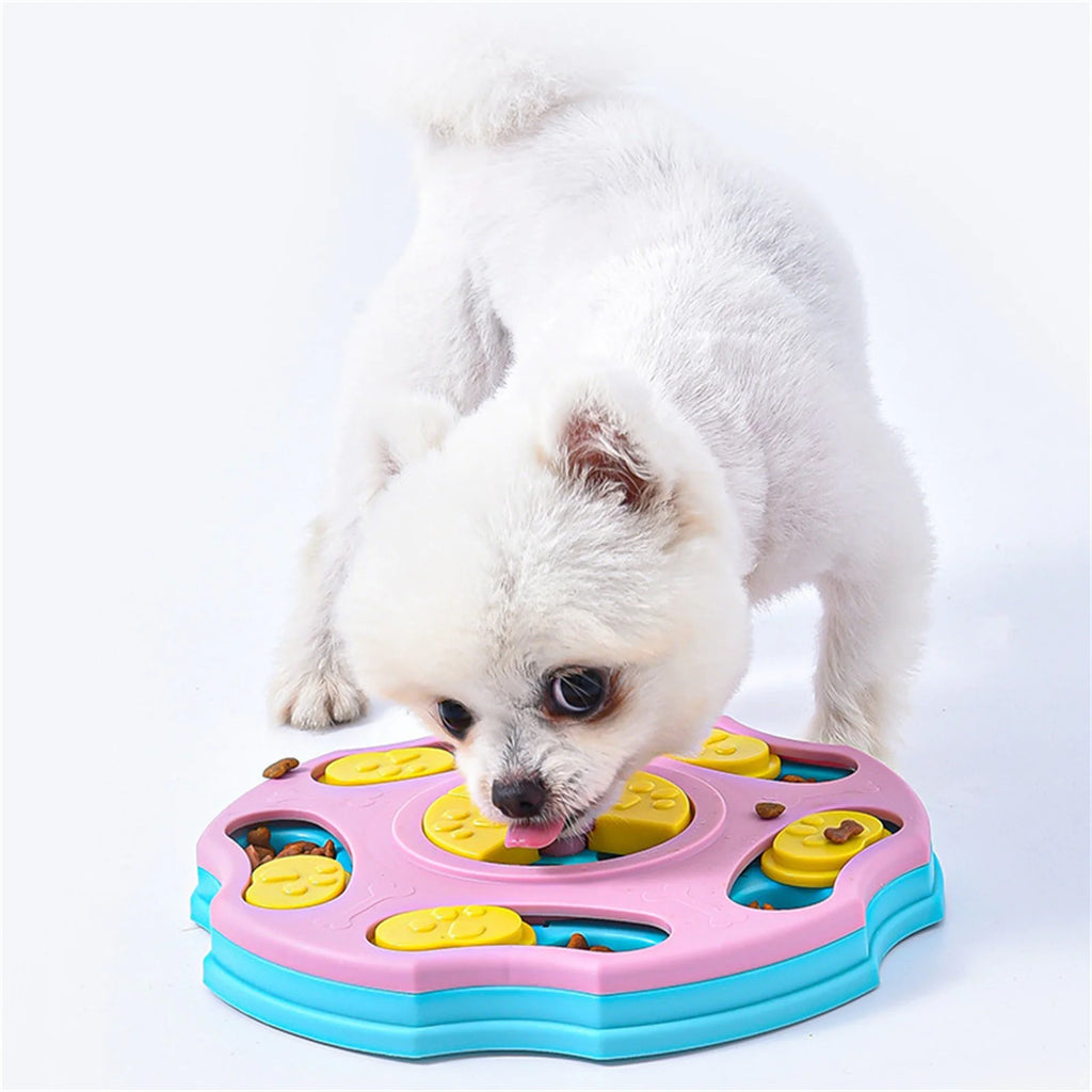 Small dog using interactive dog puzzle bowl for slow feeding and mental stimulation.