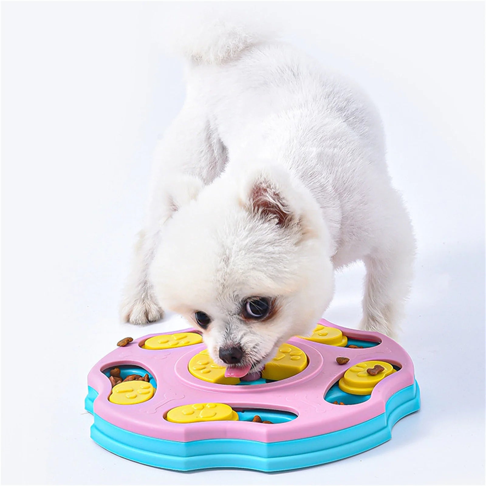 Small dog using interactive dog puzzle bowl for slow feeding and mental stimulation.