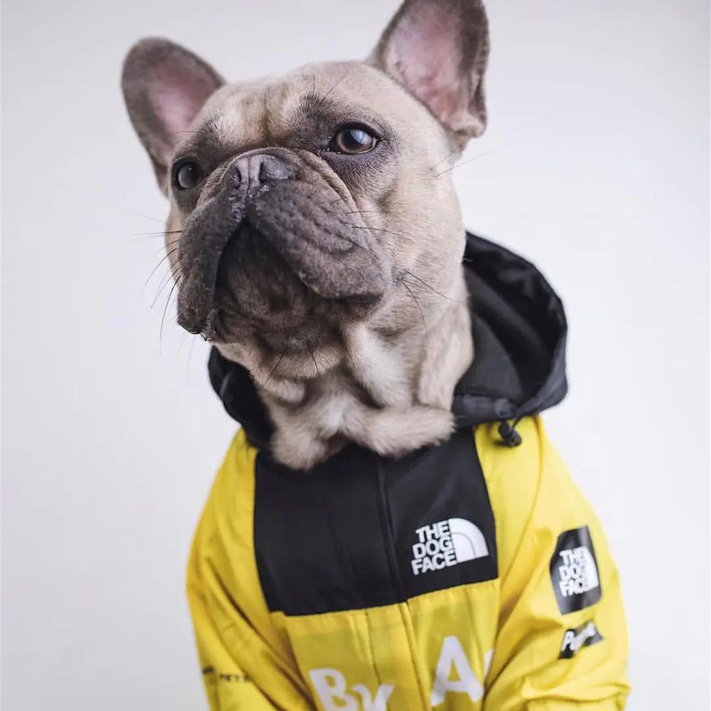 Large dog raincoat in yellow, modeled by a dog indoors, showcasing weatherproof design for outdoor adventures.