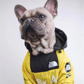 Large dog raincoat in yellow, modeled by a dog indoors, showcasing weatherproof design for outdoor adventures.