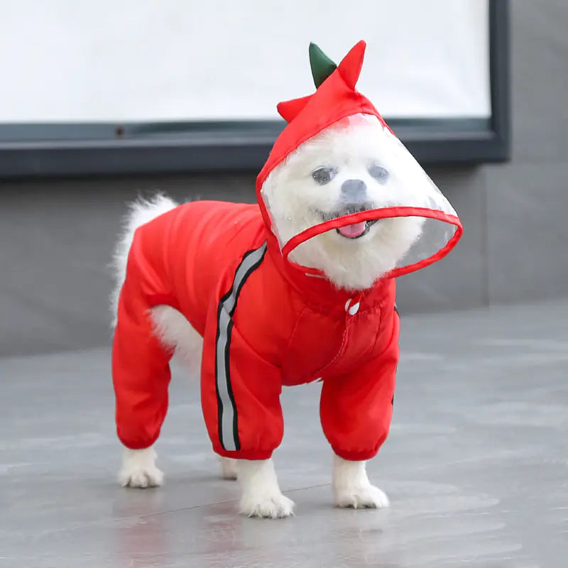 Small dog wearing a red all-weather pet raincoat with hood, staying dry and protected outdoors.