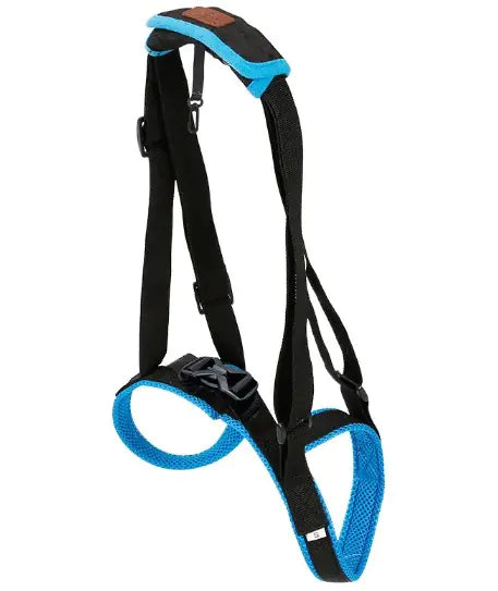 Blue and black canine mobility leg strap for enhanced dog stability and comfort.