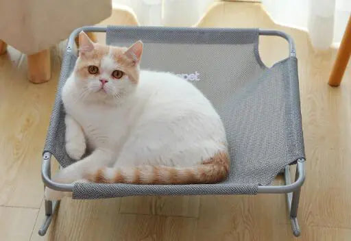 Cat lounging on a gray washable universal pet bed with stainless steel frame