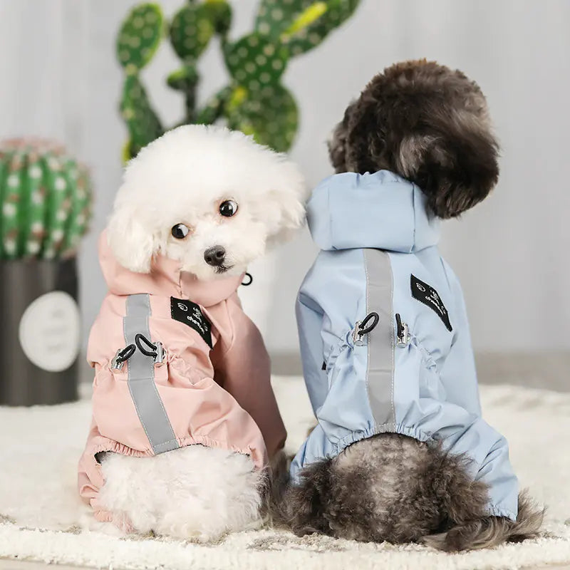 Two small dogs wearing WeatherWise Pet Raincoat, showcasing stylish dog raincoat for winter in pink and blue, perfect for wet weather.