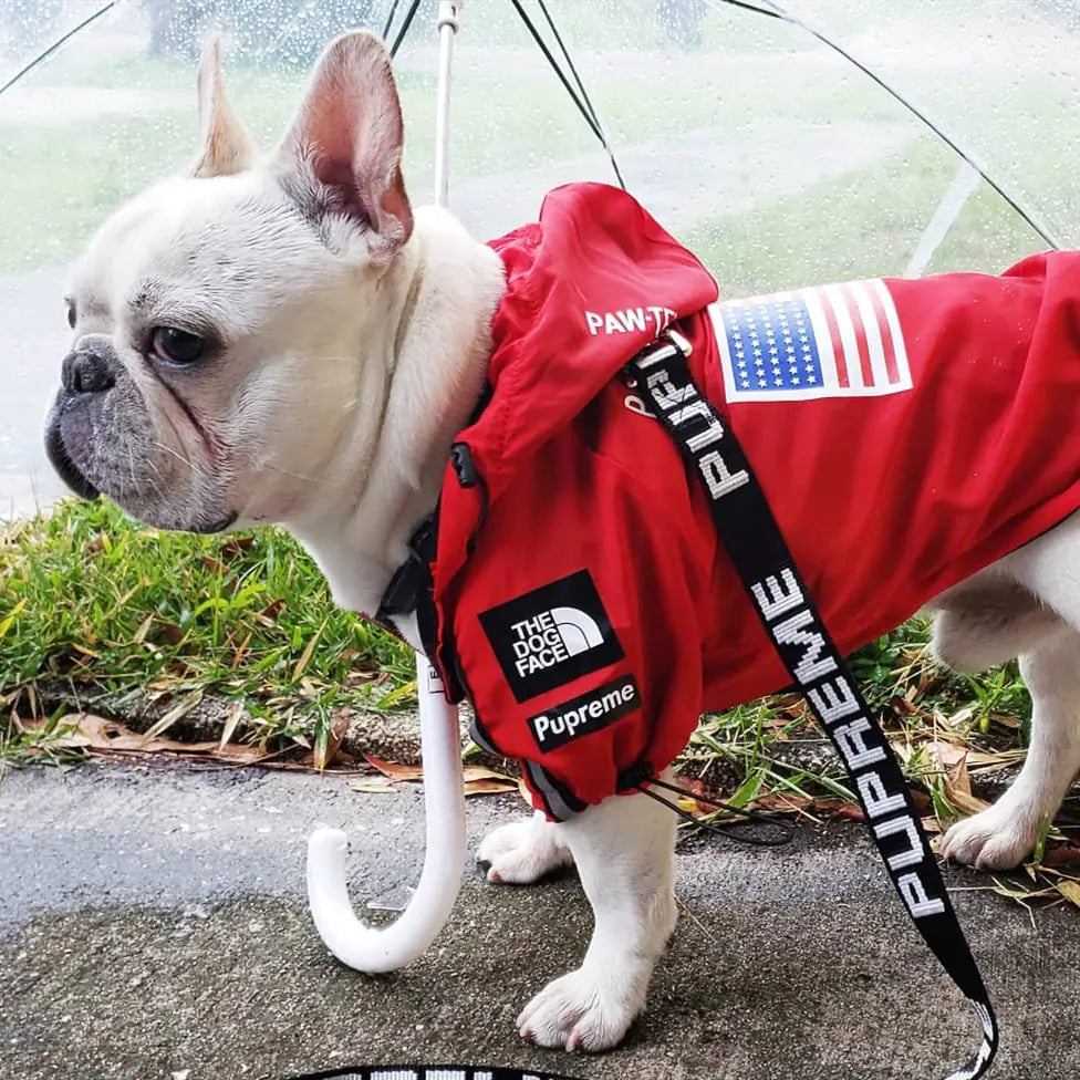 Bulldog wearing waterproof dog raincoat in red with hood and American flag design, standing under clear umbrella on wet grass.