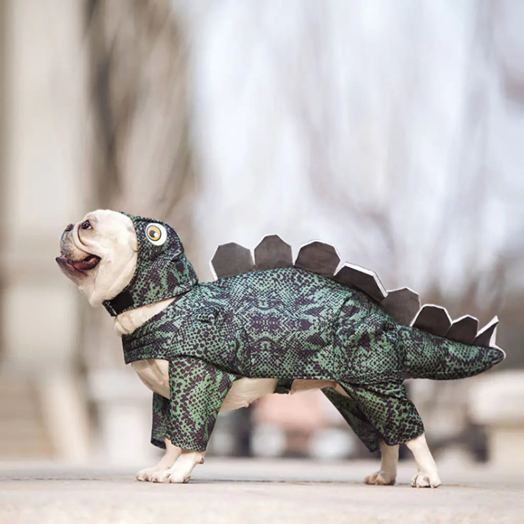 Small dog wearing funny dinosaur pet costume, perfect for parties and photos. Available in sizes XS-XXL for humorous dog apparel.