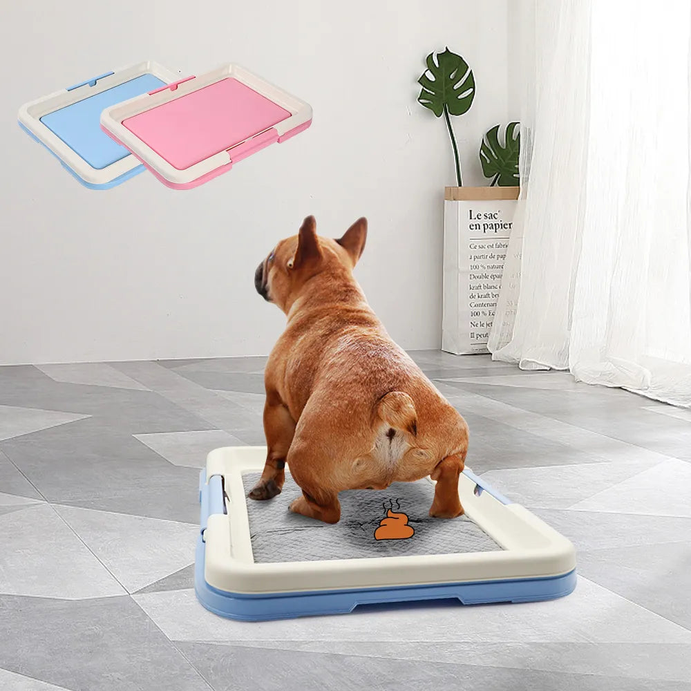 Small dog using portable indoor dog potty training toilet pad holder in living room setting