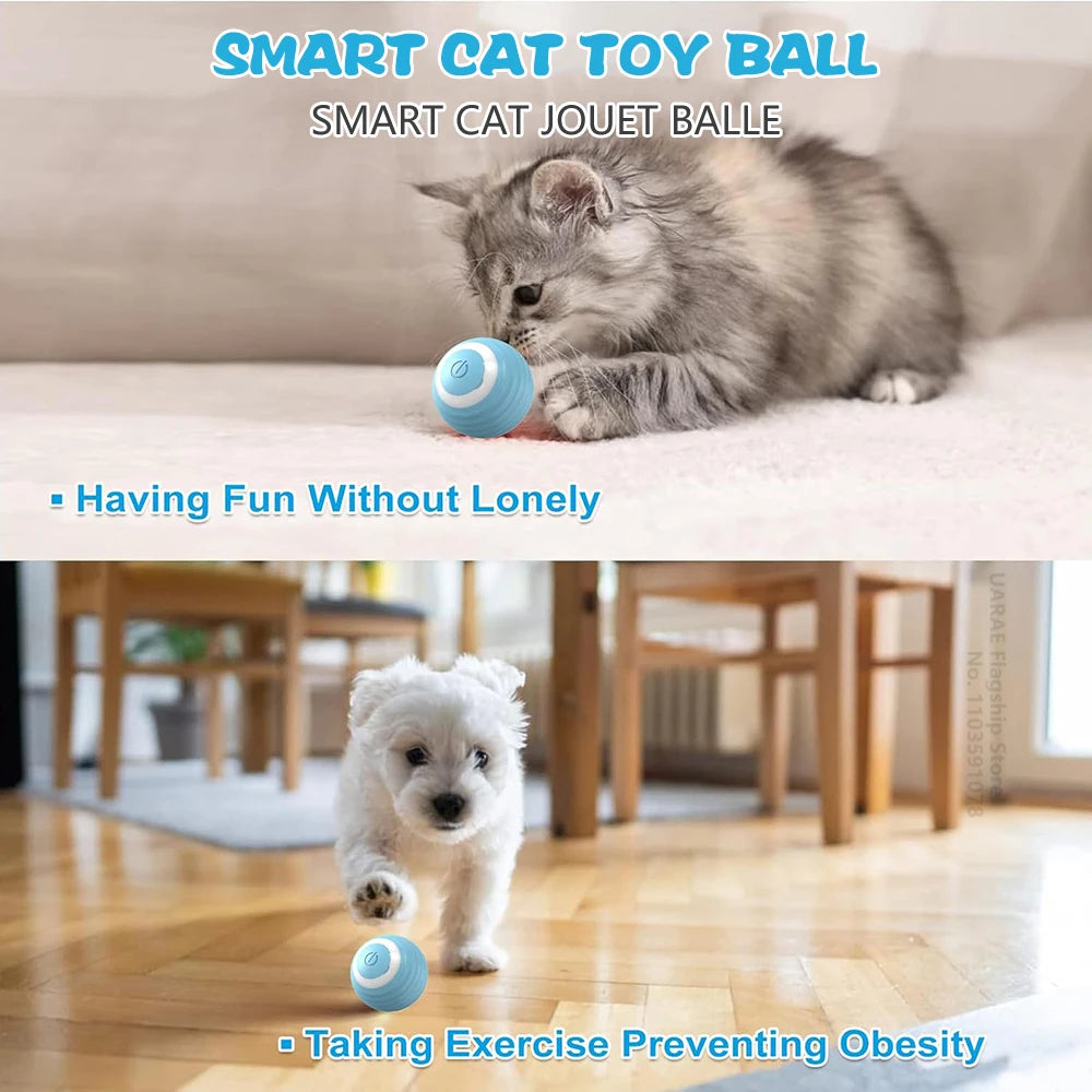 Kitten and puppy playing with smart interactive cat toy rolling ball indoors