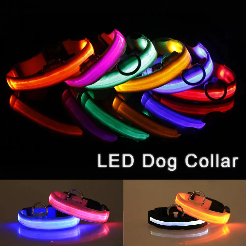 LED dog collar safety with multiple glowing colors, showcasing high visibility and waterproof features for pet protection in low light.