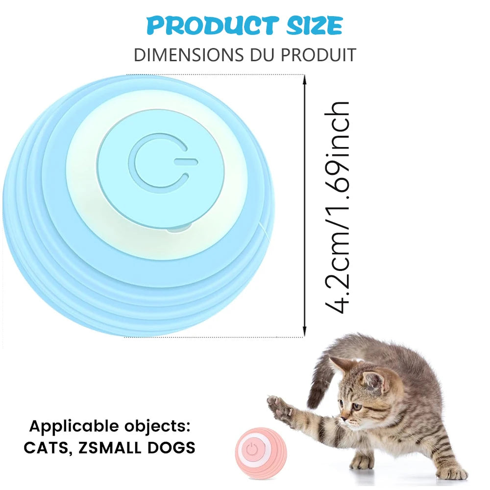 Interactive cat toy rolling ball in blue with dimensions shown against a playful kitten, suitable for cats and small dogs.