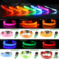 LED dog collar safety in various colors including pink, orange, yellow, blue, green, and red with adjustable glow and visibility features.