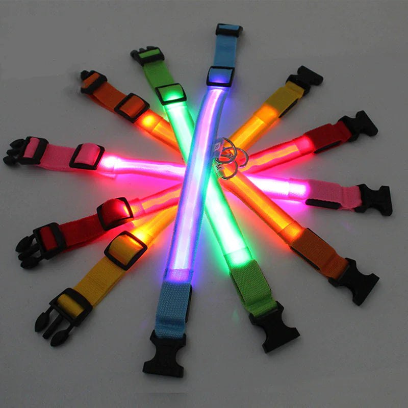 LED dog collar safety - Adjustable light up glow collars in various colors for pet visibility