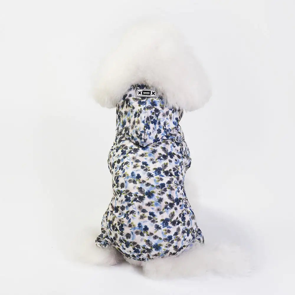 Dog wearing chic waterproof dog jacket, floral pattern, back view, white background, keeping dry and stylish in any weather.