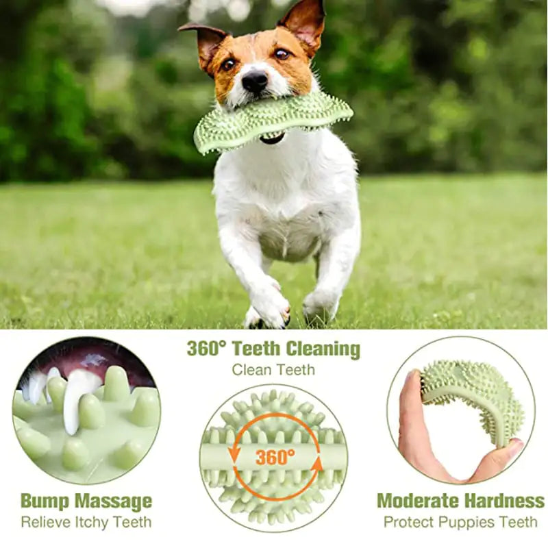 bite-resistant dog toy ball for interactive chewing – durable TPR chew toy in action with playful dog