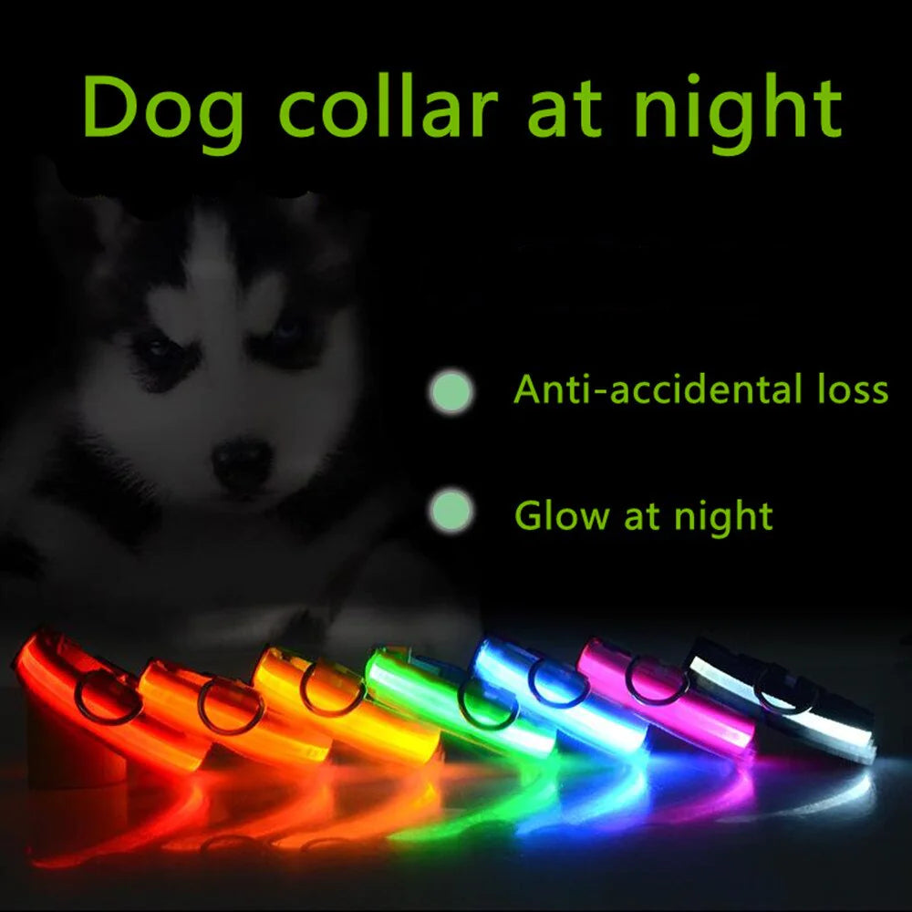LED dog collar safety - Adjustable blinking light up for night visibility, waterproof glowing collar for pet protection and low-light safety.
