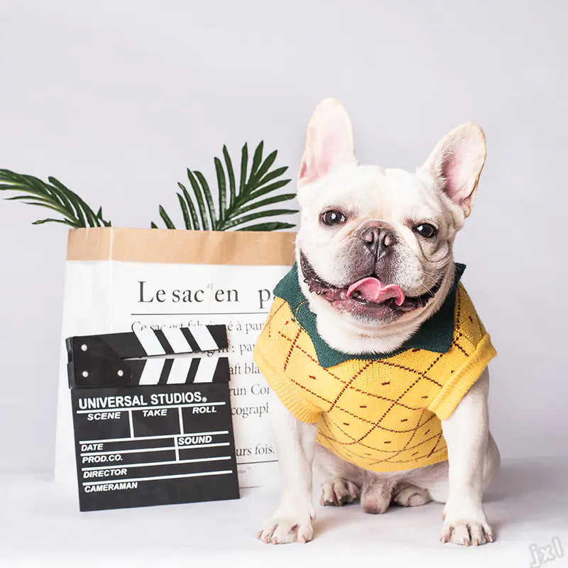 Trendy dog sweaters - white bulldog in yellow cotton sweater with clapperboard and plant bag, perfect for pets XS-2XL.