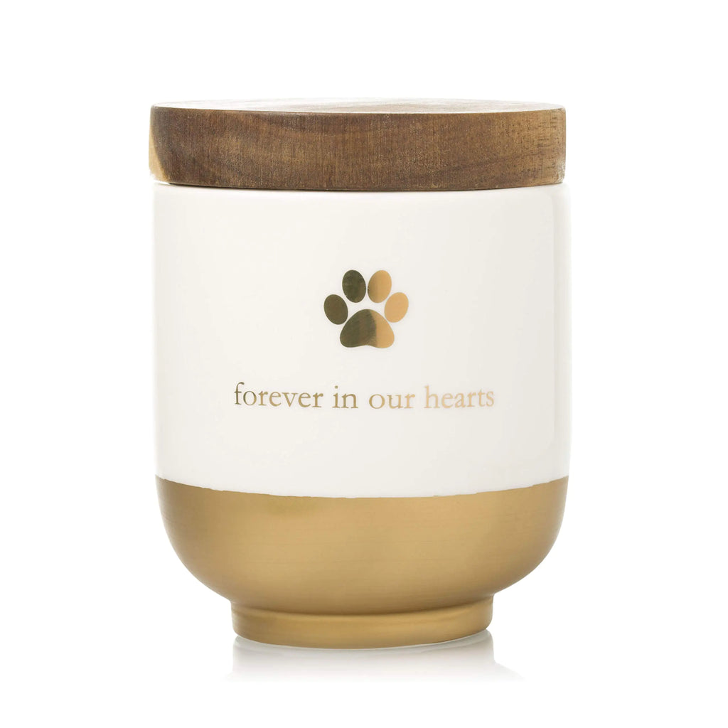 Ceramic pet urn with a gold paw print and 'forever in our hearts' design, suitable for ashes of pets up to 45 lbs.