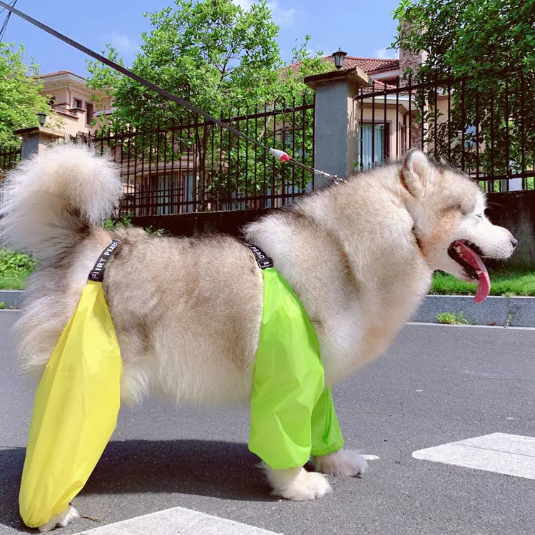 Dog wearing adjustable dog raincoat with four-legged design, yellow and green color, outdoor walking