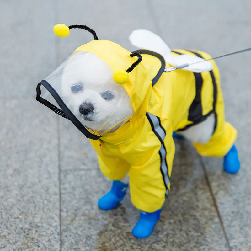 Dog wearing yellow bee-themed pet raincoat poncho with waterproof design
