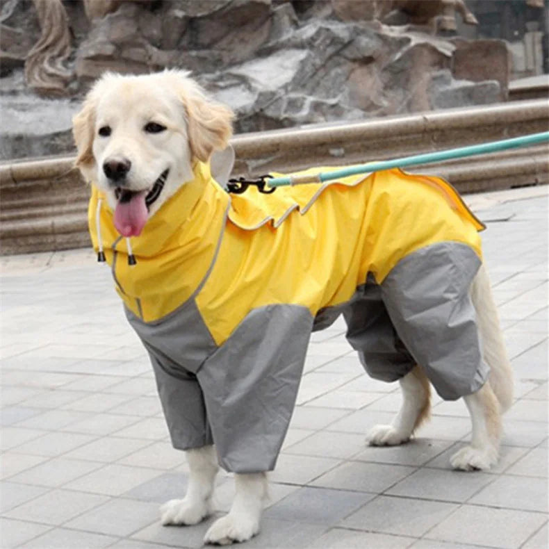 Large dog wearing a reflective waterproof dog coat made of yellow and gray PU material, keeping dry and stylish outdoors.