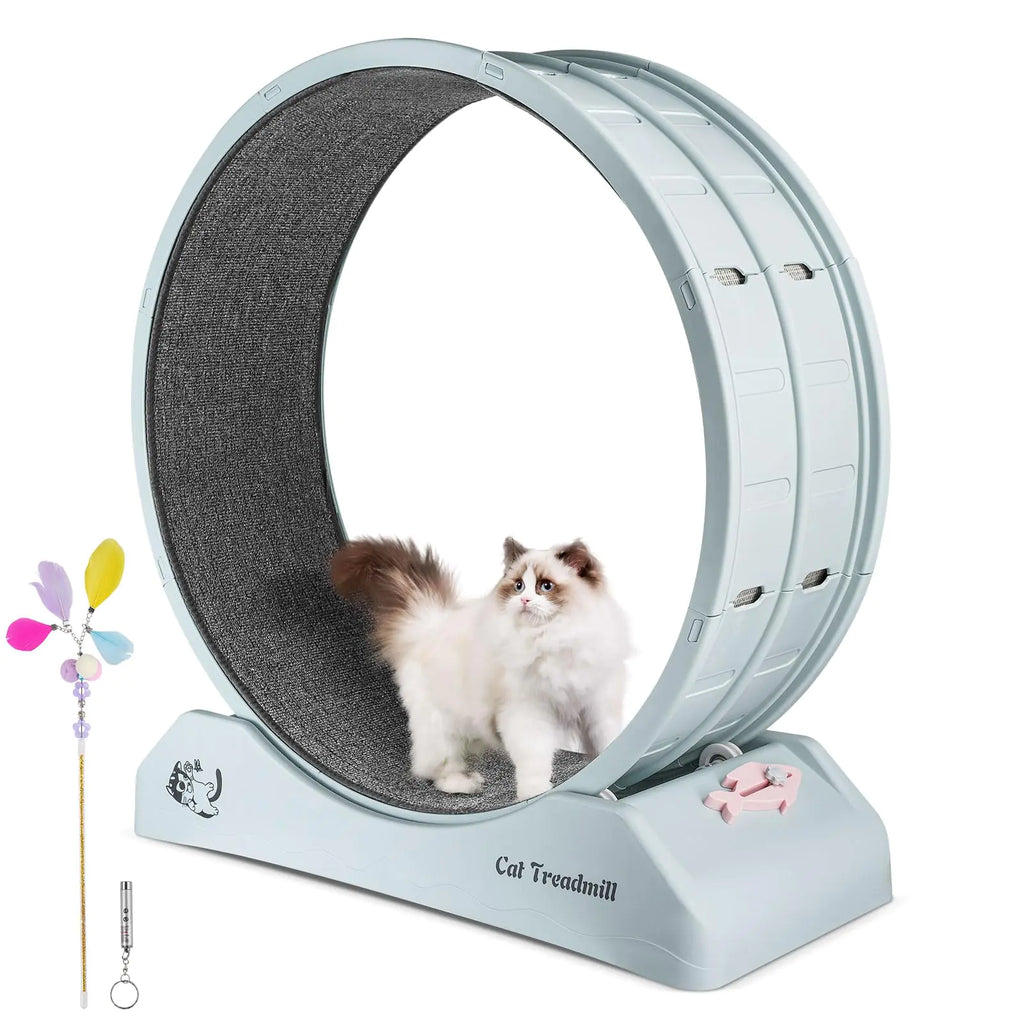 White cat using Primachen indoor cat exercise wheel 31.5" with toy accessories for healthy activity