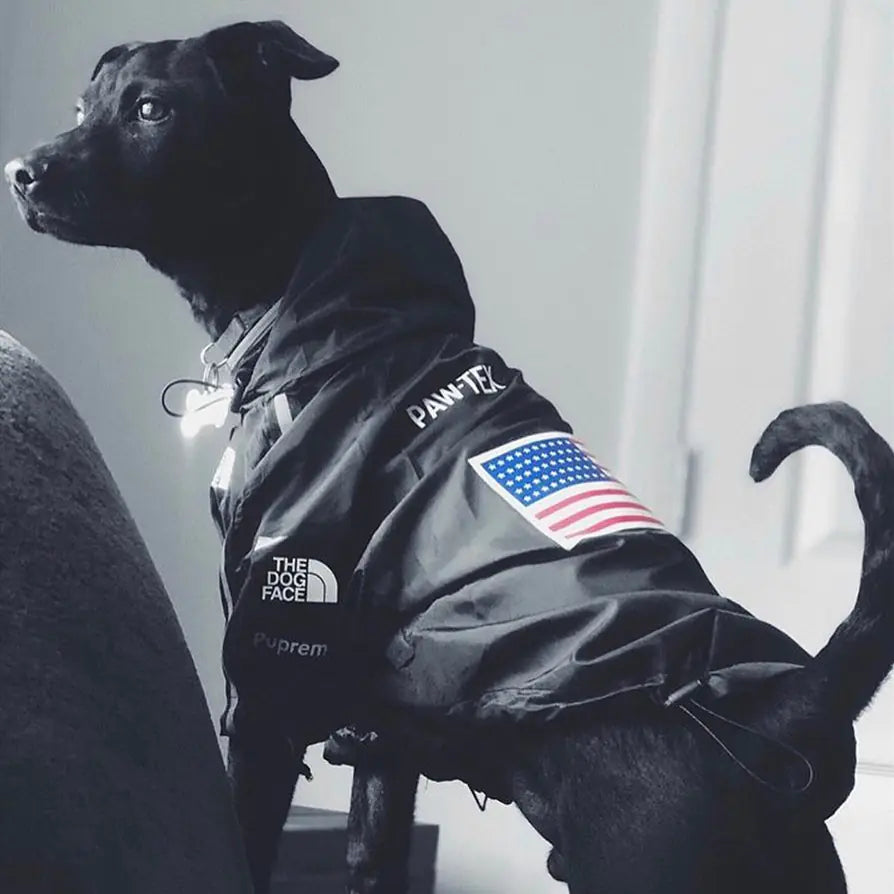Black dog wearing a stylish waterproof dog raincoat with USA flag patch, perfect for rainy days, made from high-quality polyester.