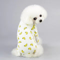 Fluffy dog wearing cartoon fruit dog pajamas with banana pattern