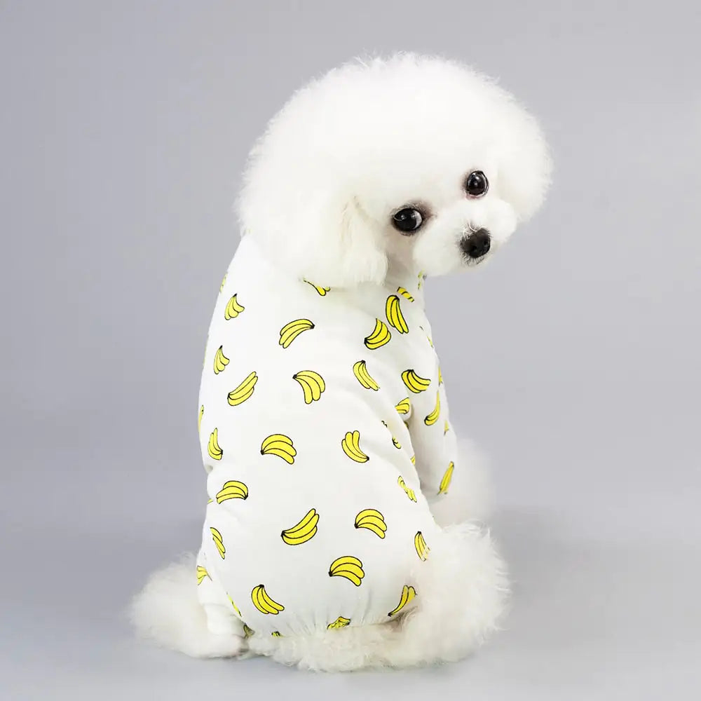 Fluffy dog wearing cartoon fruit dog pajamas with banana pattern