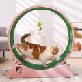 Cat using a RYpetmia cat exercise wheel indoors, promoting fitness and play on a carpeted runway.