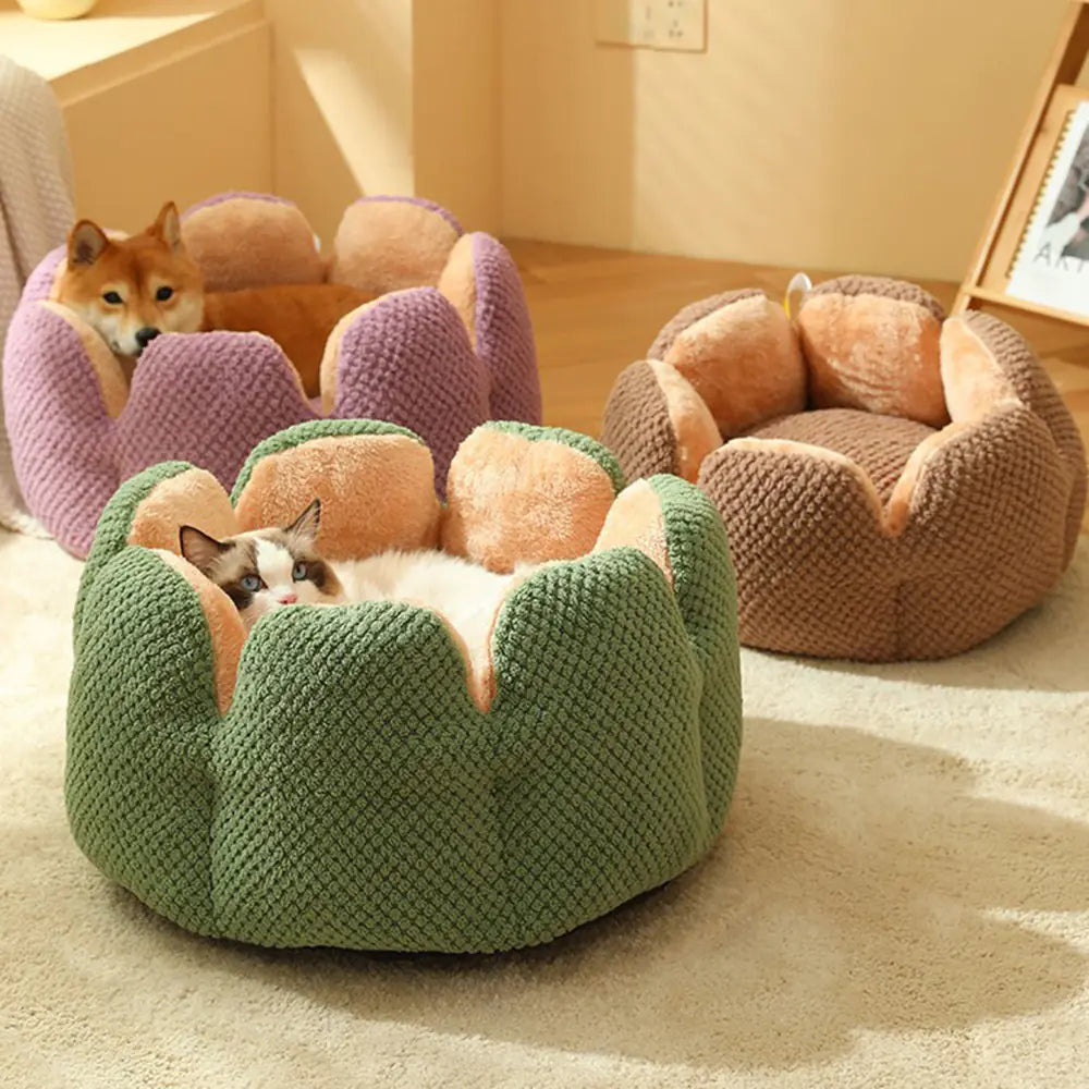 Flower-shaped cat bed in green, gray, purple, and coffee colors, featuring a cozy soft nest design perfect for small dogs and cats.