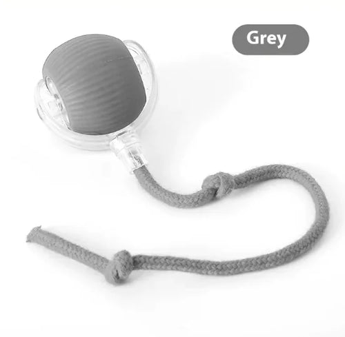 Chirping Cat Teaser Ball