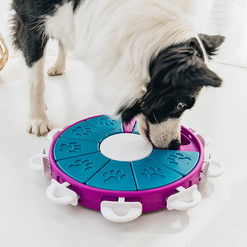 Dog playing with Tornado Storm food dispenser, a dog educational toy that enhances cognitive development.