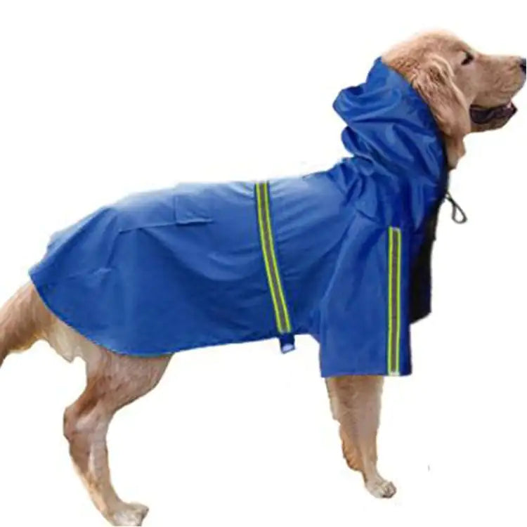Golden Retriever wearing a blue hi-vis waterproof dog raincoat with reflective stripes for visibility in rainy weather.