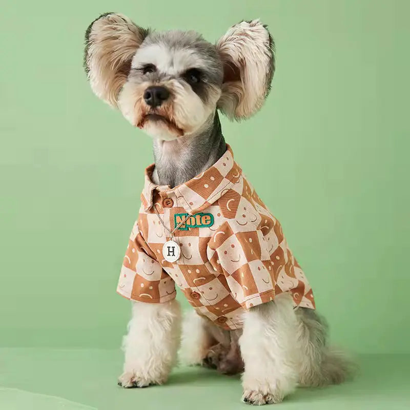 Cute dog wearing checked denim pet shirt with chic checked pattern, sitting against a green background. Trendy pet fashion for all occasions.