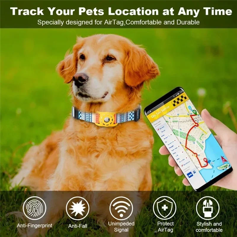 Golden retriever wearing digital printing collar with Apple AirTag and smartphone showing pet tracking map. Apple AirTag pet collar.