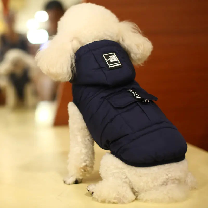 Chic winter dog vest on a fluffy dog, featuring a stylish design perfect for warmth and fashion during cold days.