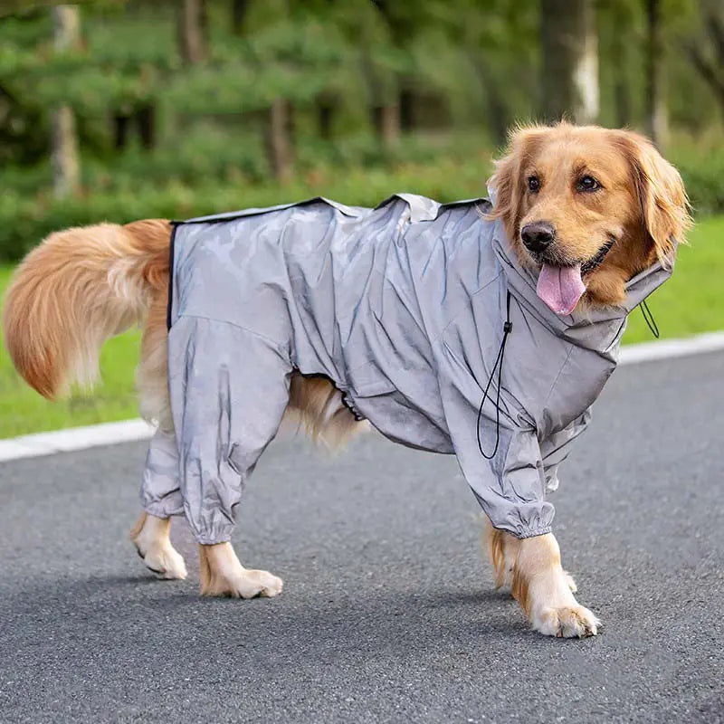 Golden Retriever wearing a reflective waterproof dog coat outdoors, designed with high-quality PU material for large dogs.