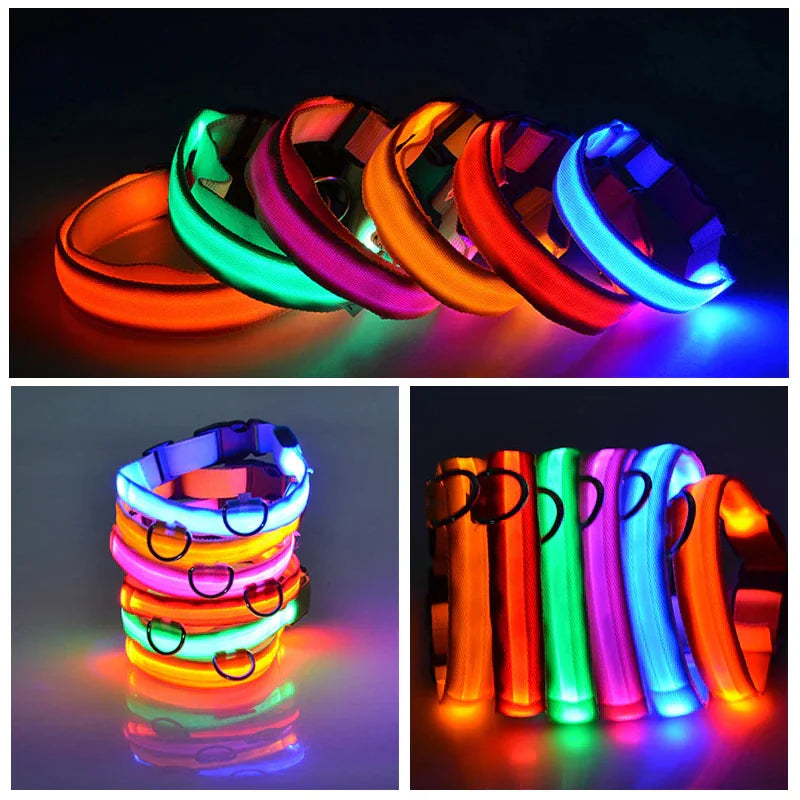 Colorful LED adjustable dog collars for safety and visibility, high visibility flashing lights, waterproof. LED dog collar safety.