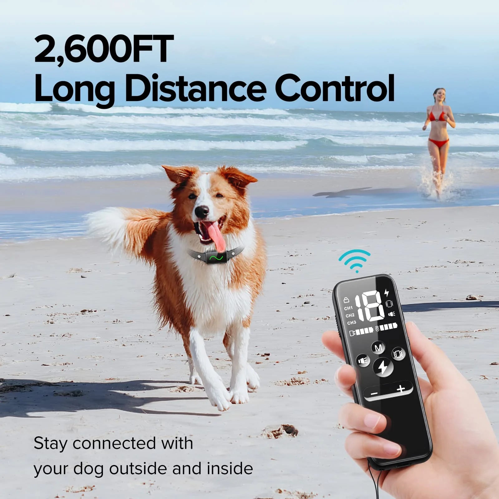 Dog running on the beach with waterproof dog training collar, featuring remote control and long-distance connectivity for effective training.