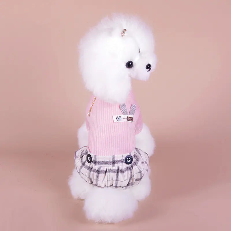 Fluffy puppy wearing cozy pink winter clothes with buttons and a plaid skirt, showcasing puppy winter clothes for warmth and style.