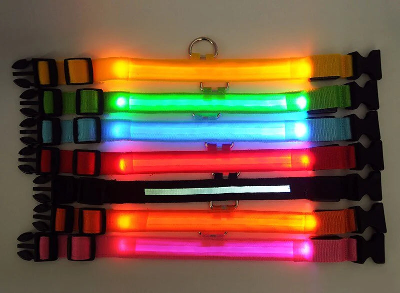 Colorful LED dog collar safety lights for enhanced pet visibility, featuring waterproof adjustable collars in various neon colors.