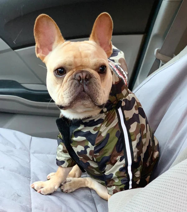 French bulldog wearing a camo waterproof dog raincoat sitting in a car, showcasing stylish and durable protection from rain.