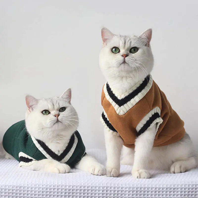 Winter Cotton Knit Vest for Pets - Academic Style