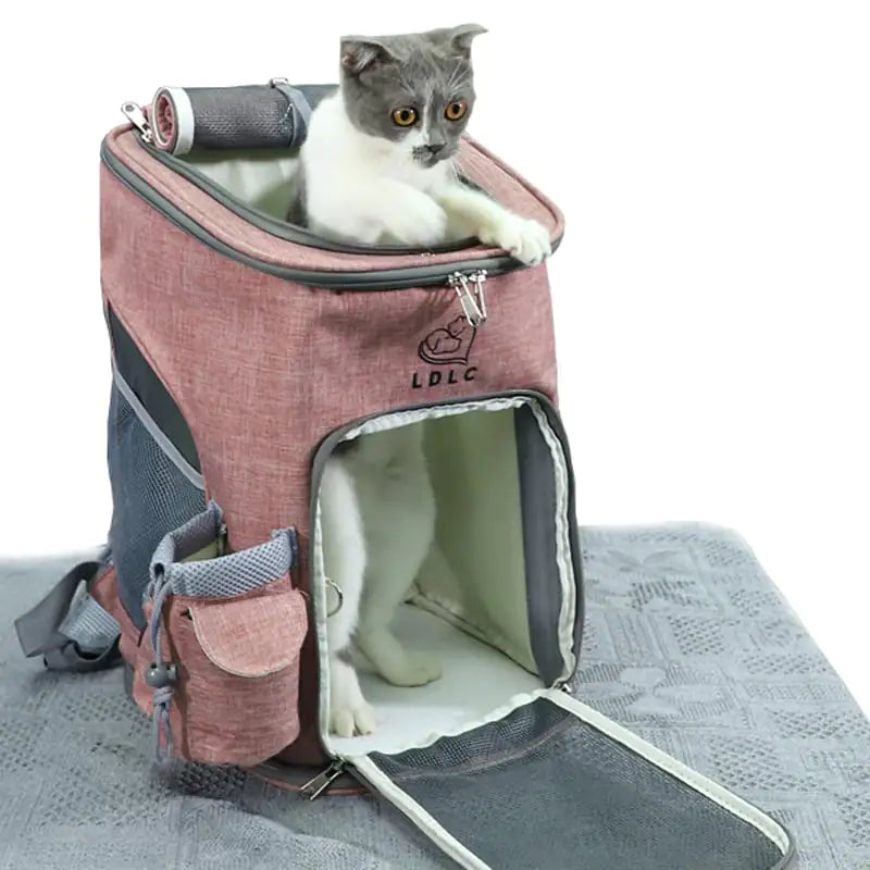 Pet carrier for small dogs and cats with Oxford cloth material, featuring a cat peeking out of a stylish and durable design.