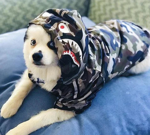 Fluffy dog wearing a camo waterproof dog raincoat lying on a blue cushion, featuring a shark design on the hood.