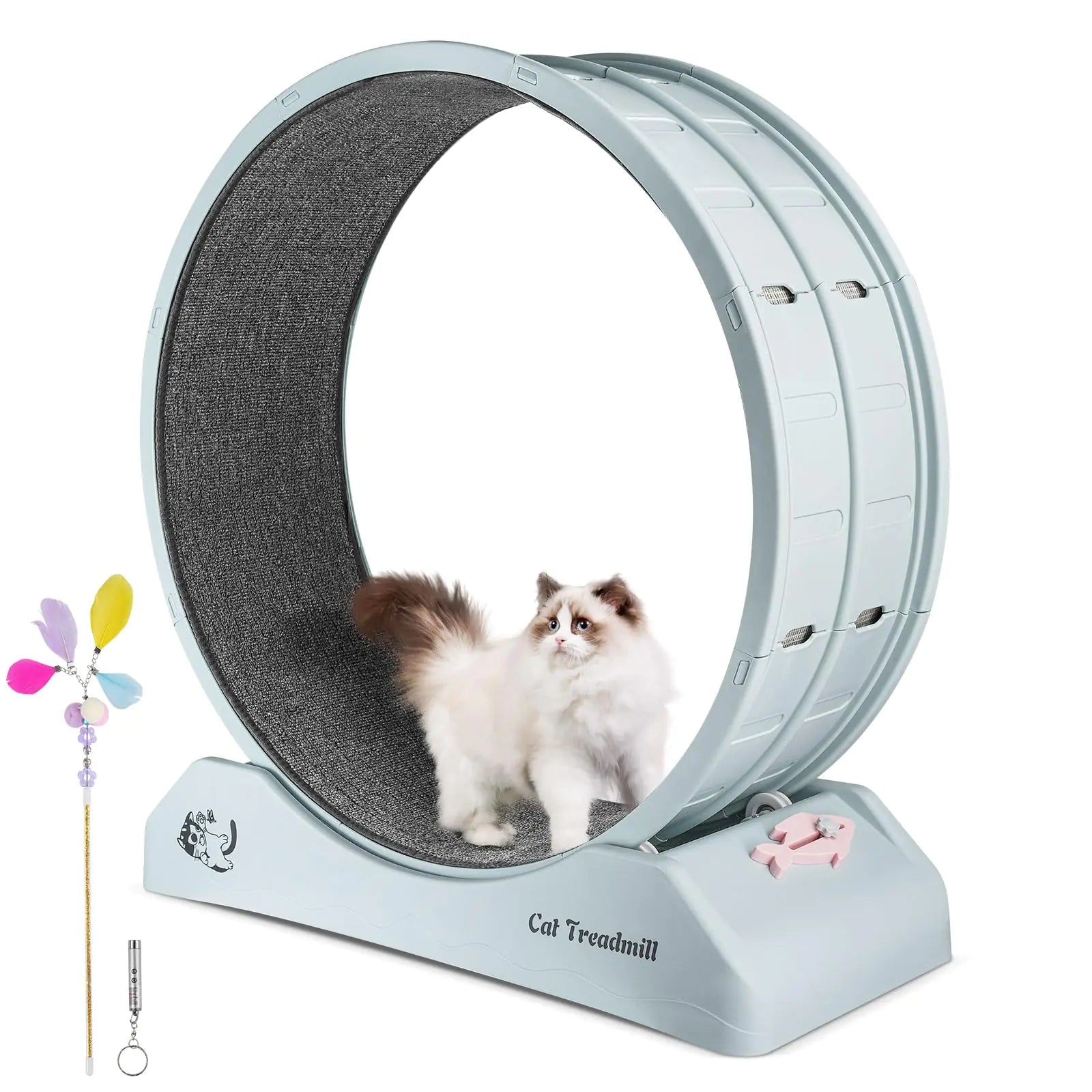 Indoor cat exercise wheel 31.5" with playful cat on Primachen cat treadmill for fitness and fun