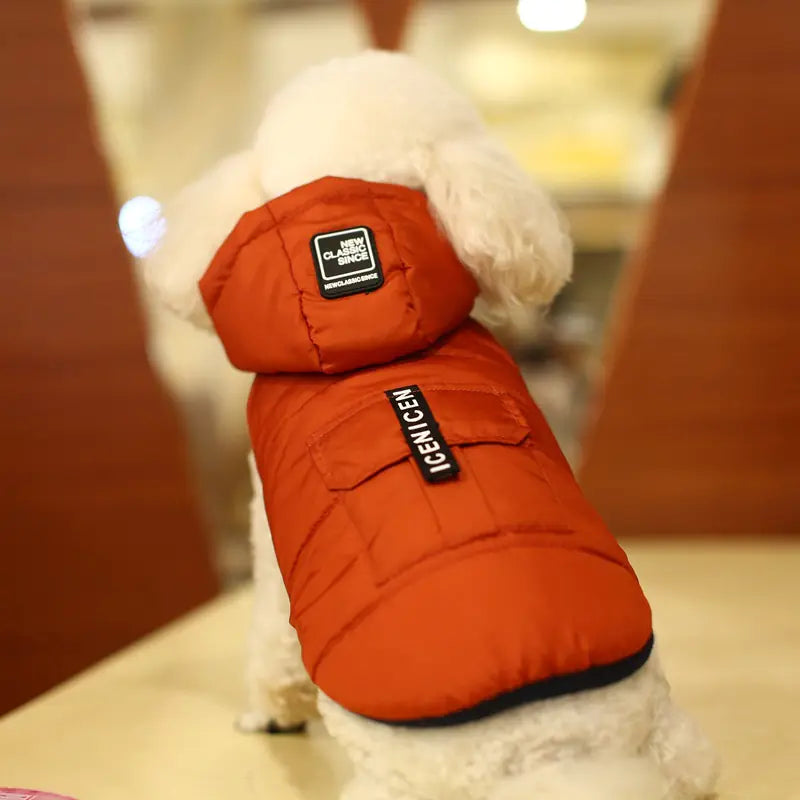 Dog wearing chic winter dog vest in red, made from high-quality polyester for warmth and style.