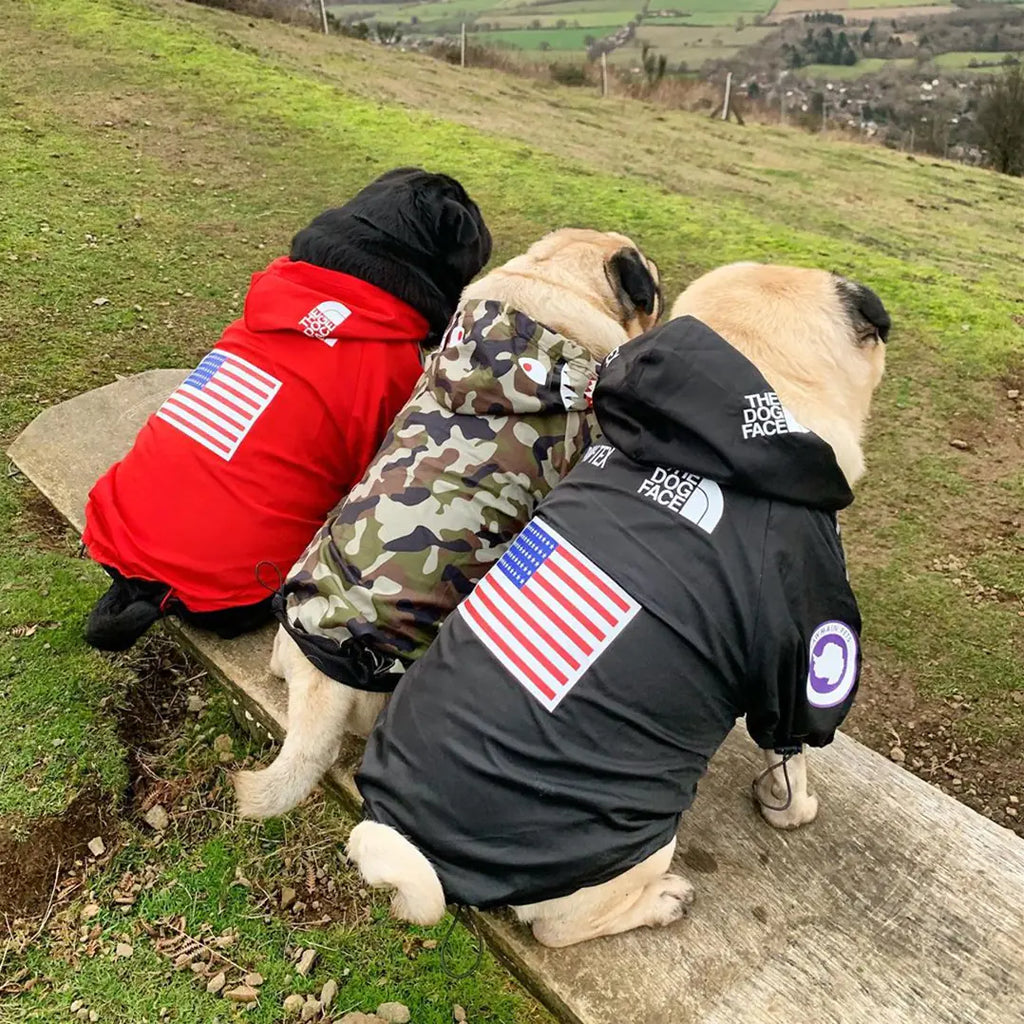 Three dogs sitting outdoors wearing a waterproof dog raincoat with stylish designs, showing American flags on the back, perfect for rainy days.