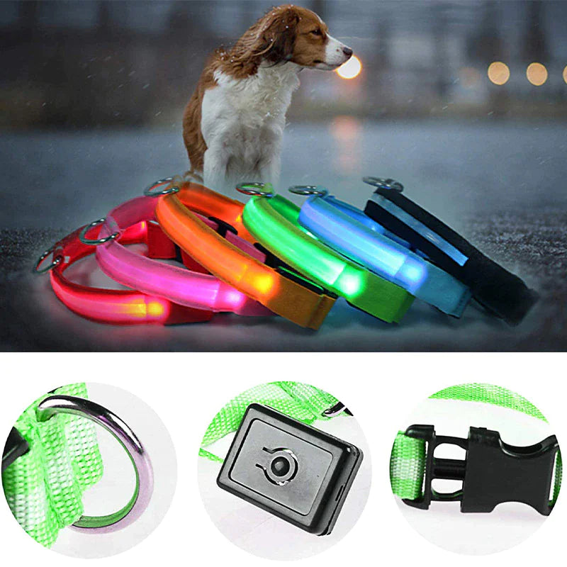 Colorful LED dog collar safety glowing in the dark for pet visibility and protection, featuring bright adjustable waterproof design.
